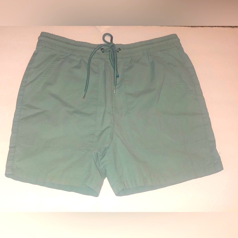 Pacsun Men's Green Drawstring Volley Shorts